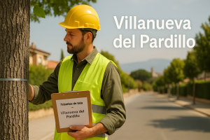 Informe de tala y trámite en Villanueva del Pardillo