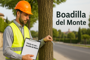 Informe para talar árbol en Boadilla