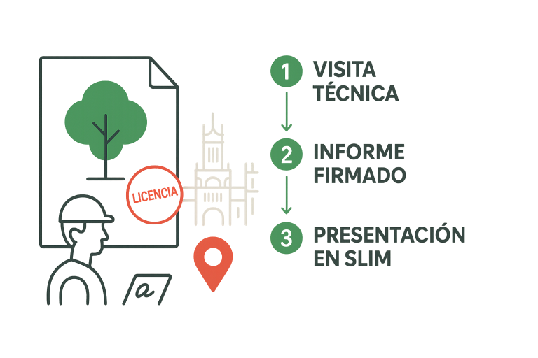 trámite de tala en Madrid