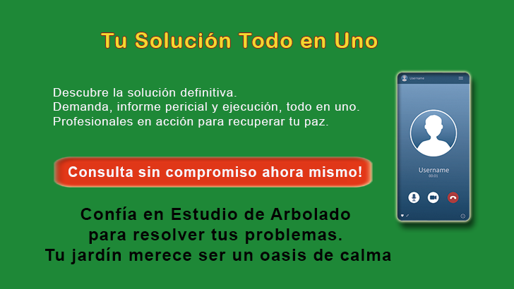 Solución definitiva