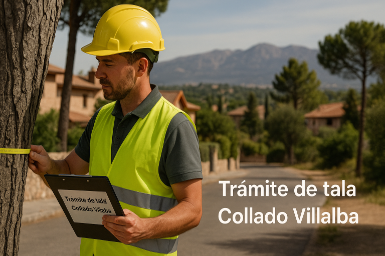 informe y trámite de tala en Collado-Villalba