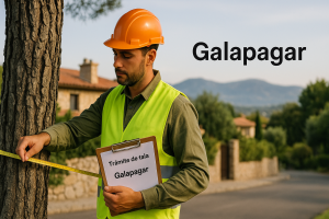 informe para talar un arbol protegido en Galapagar