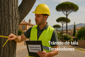 informe y trámite de tala en Torrelodones